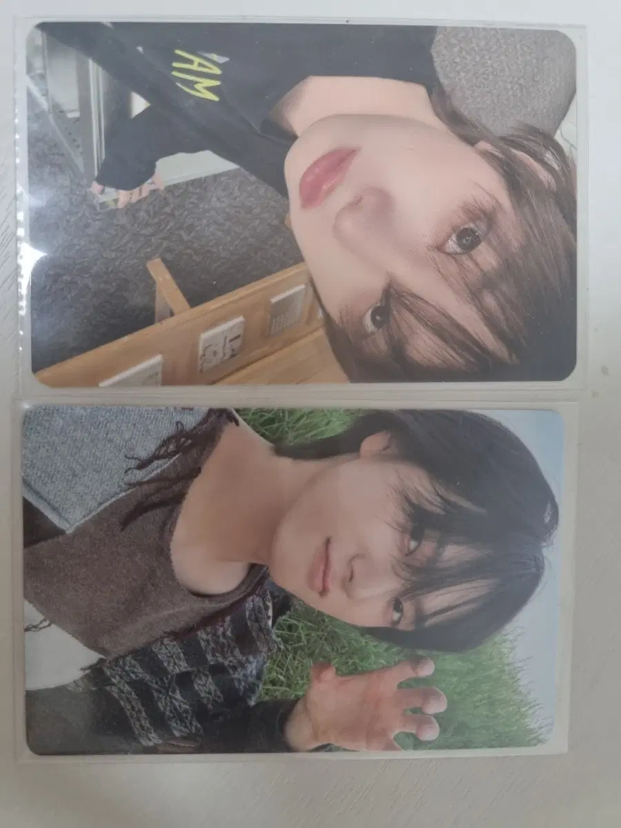 보넥도 성호 포토카드