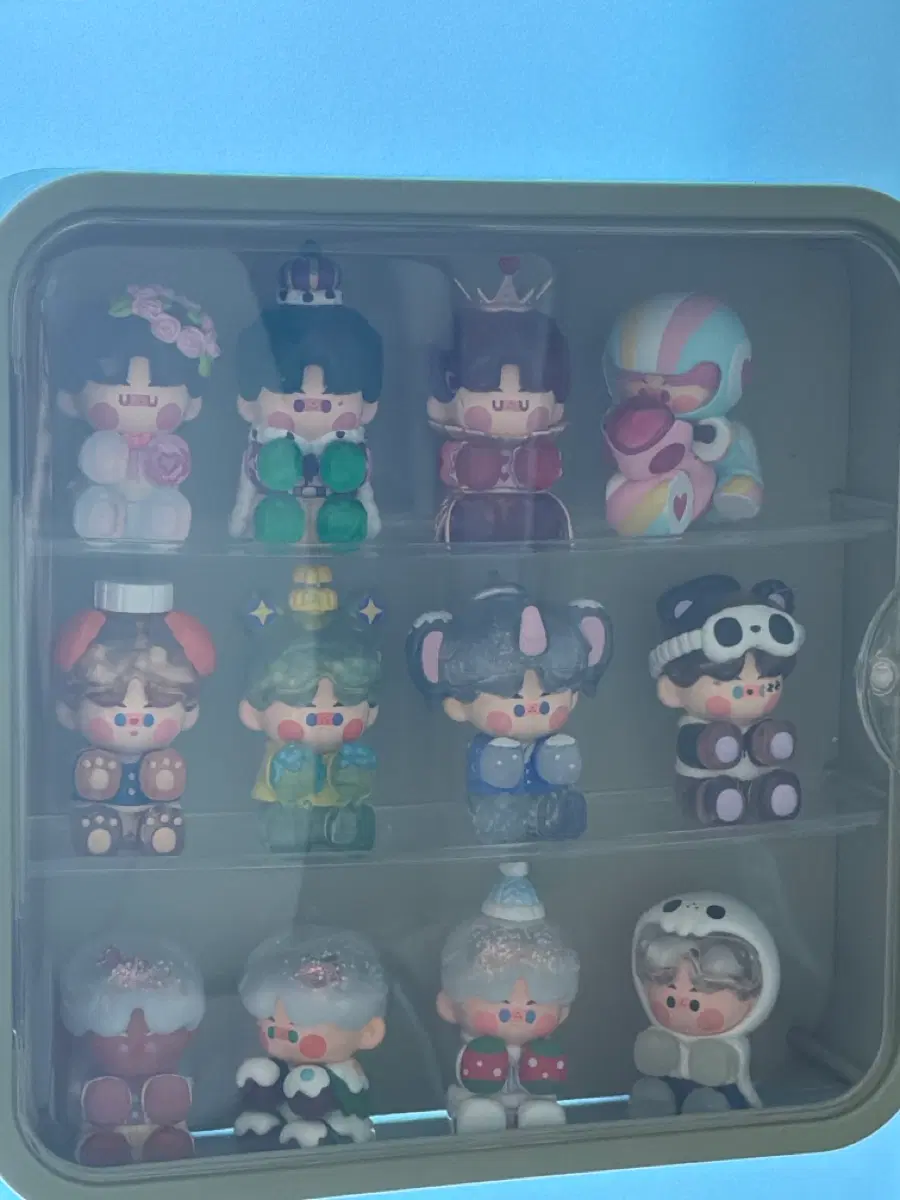 피노젤리 일괄