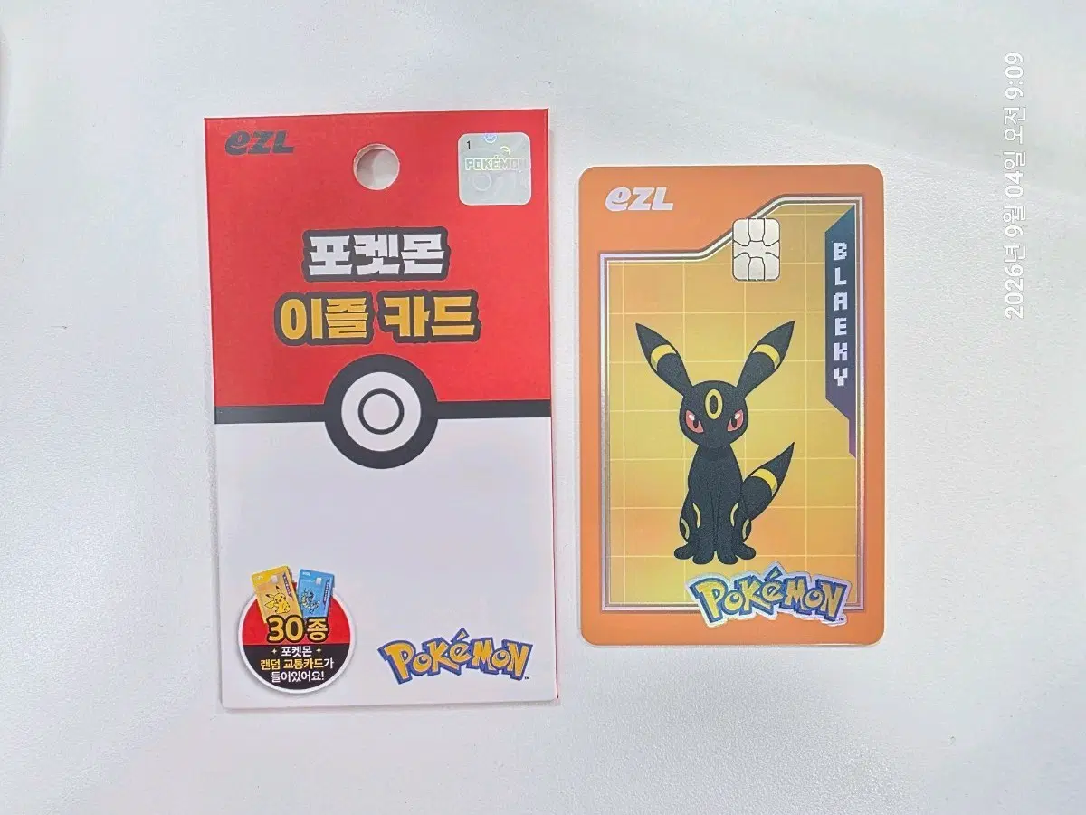 포켓몬 30주년 이즐카드 블랙키 교통카드