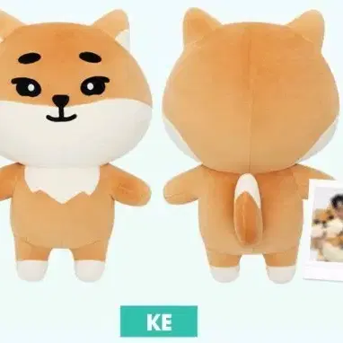 [미개봉] 데이식스 자이언트 데니멀즈 자멀 케 인형 양도