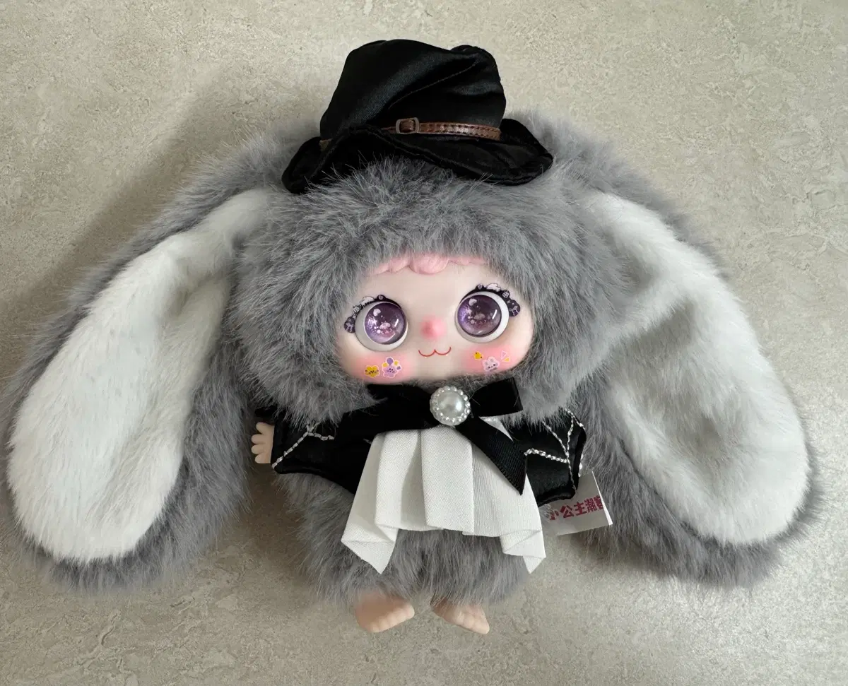 지이모 80퍼