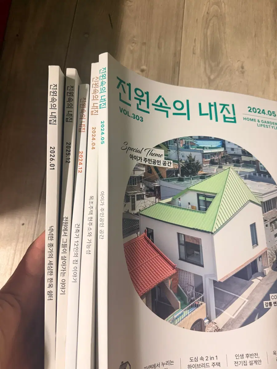 전원속의내집