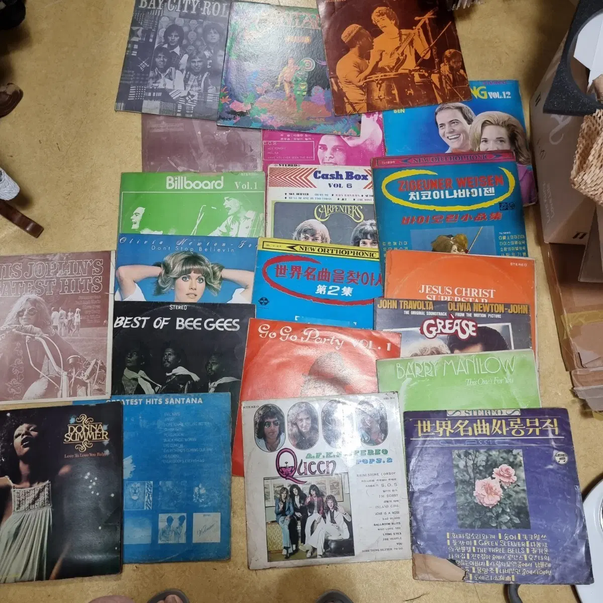 POP 준라이센스 20장