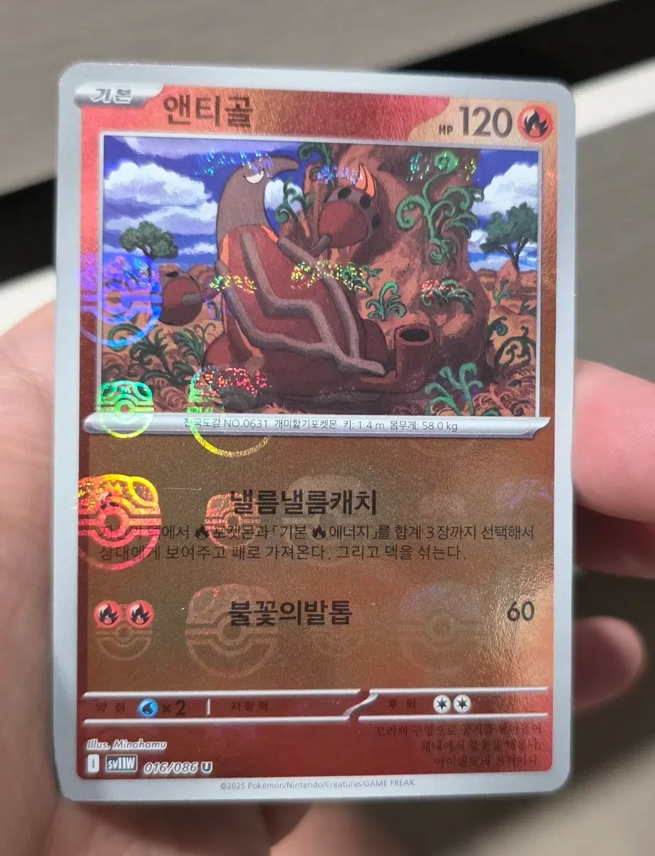 포켓몬카드 앤티골 마스터볼