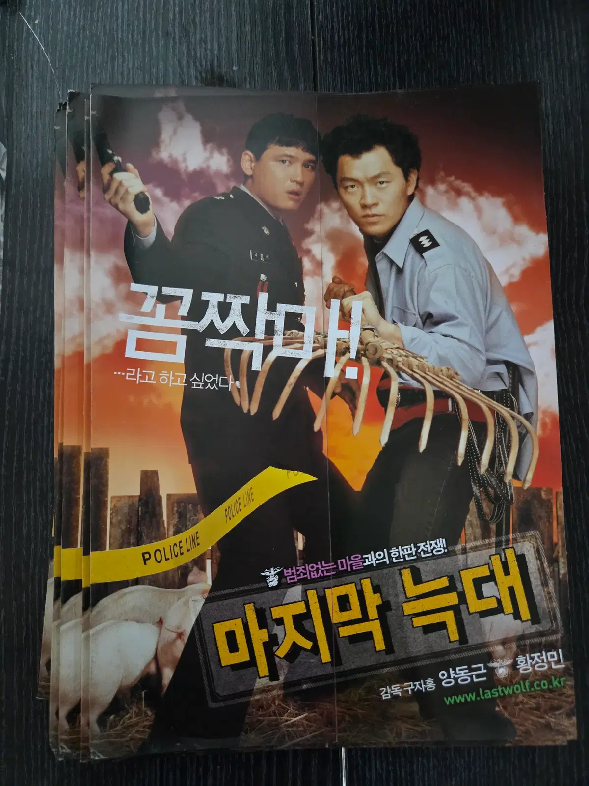 마지막늑대 / 황정민 /영화전단지/영화자료/고전희귀