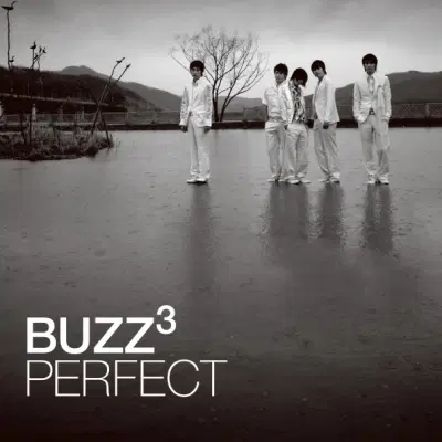 버즈 (Buzz) 3집 - Perfect (LP)
