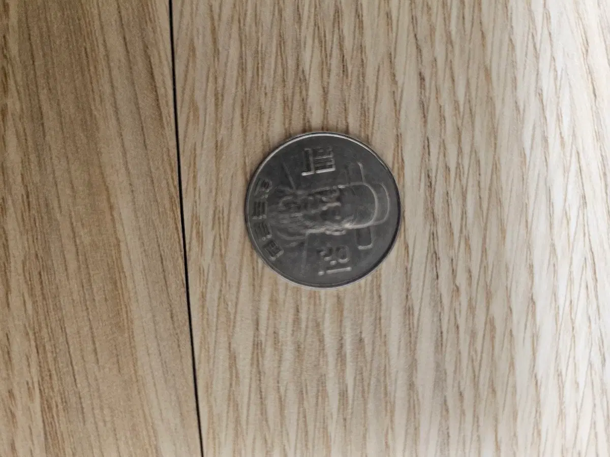 1980년 100원동전