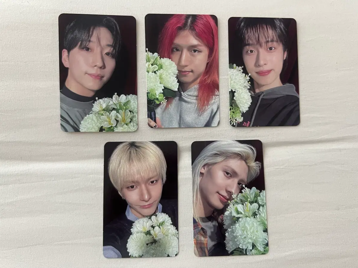 일괄) 엑디즈 뷰마콘 입장포카 꽃다발 특전