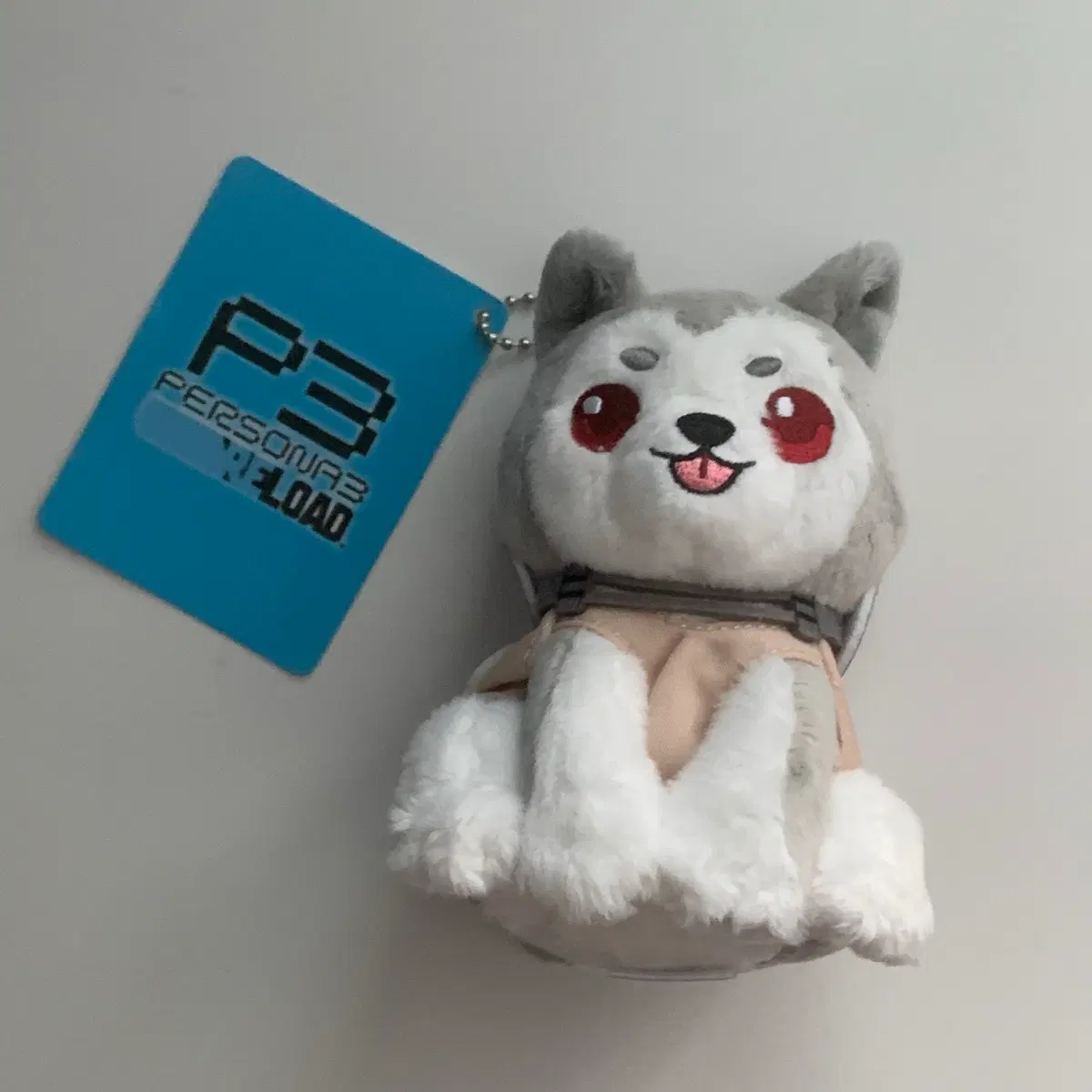 페르소나3 리로드 코로마루 인형