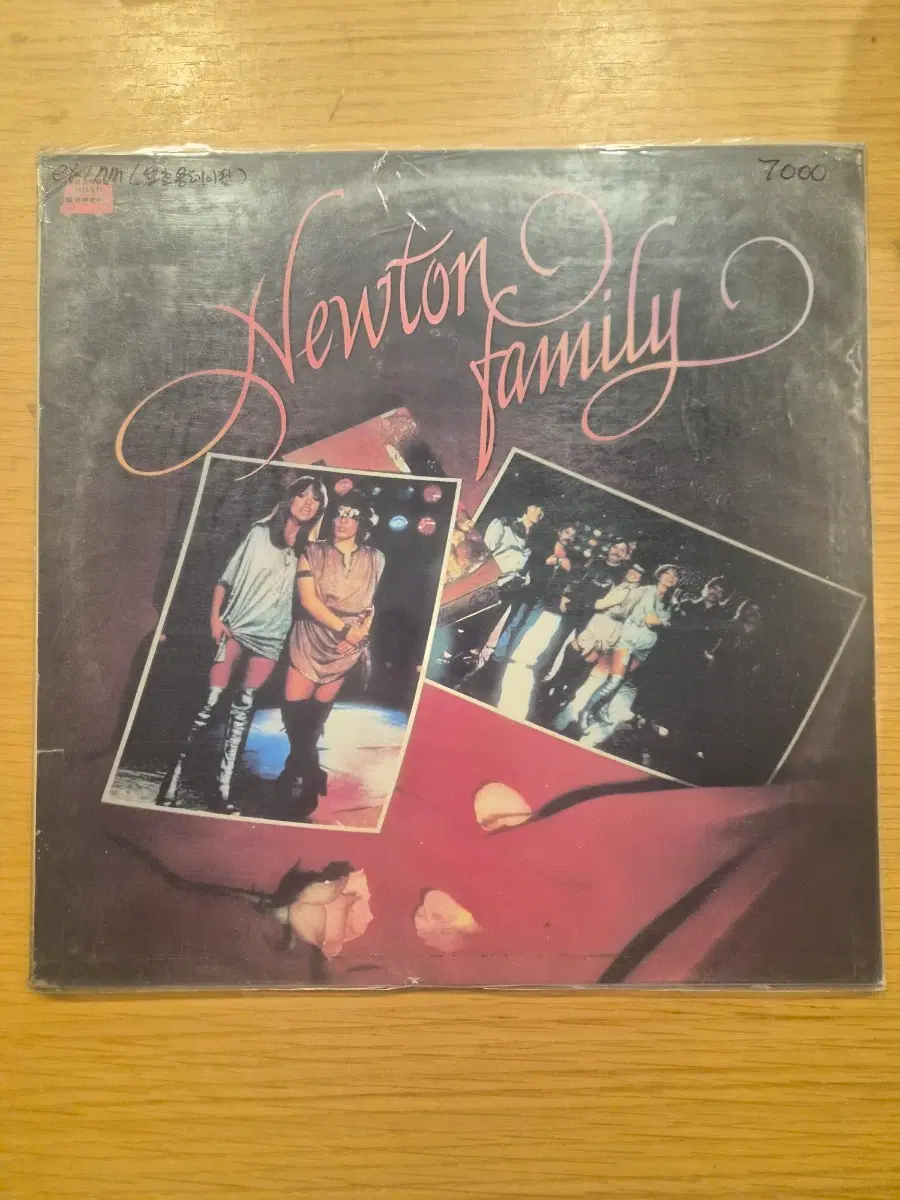 Newton family lp
