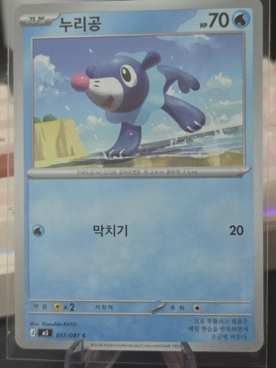 포켓몬카드 누리공
