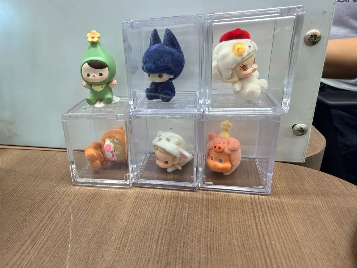 팝마트 파자마 팝빈 일괄