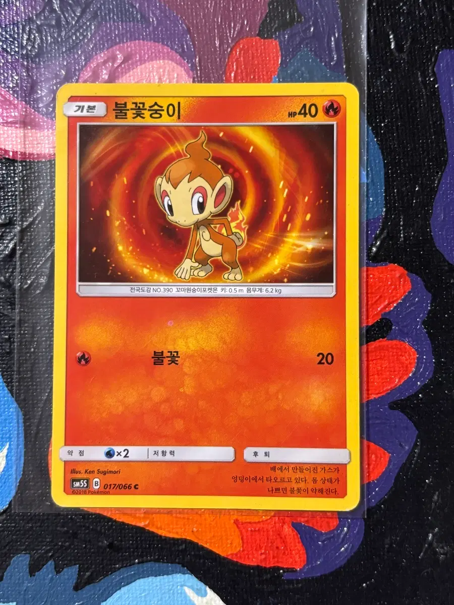포켓몬스터 불꽃숭이sm5s 포켓몬 카드 인테리어 소품 꾸미기용 포장용