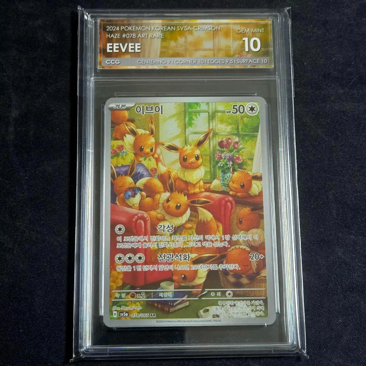 [포켓몬 카드]이브이  AR CCG 10