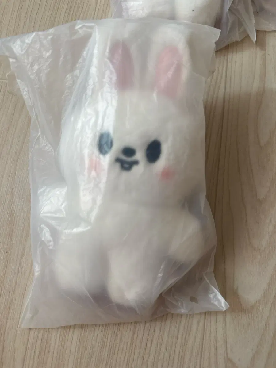 스키주 리빗 스탠딩 스키즈 리노 스트레이키즈