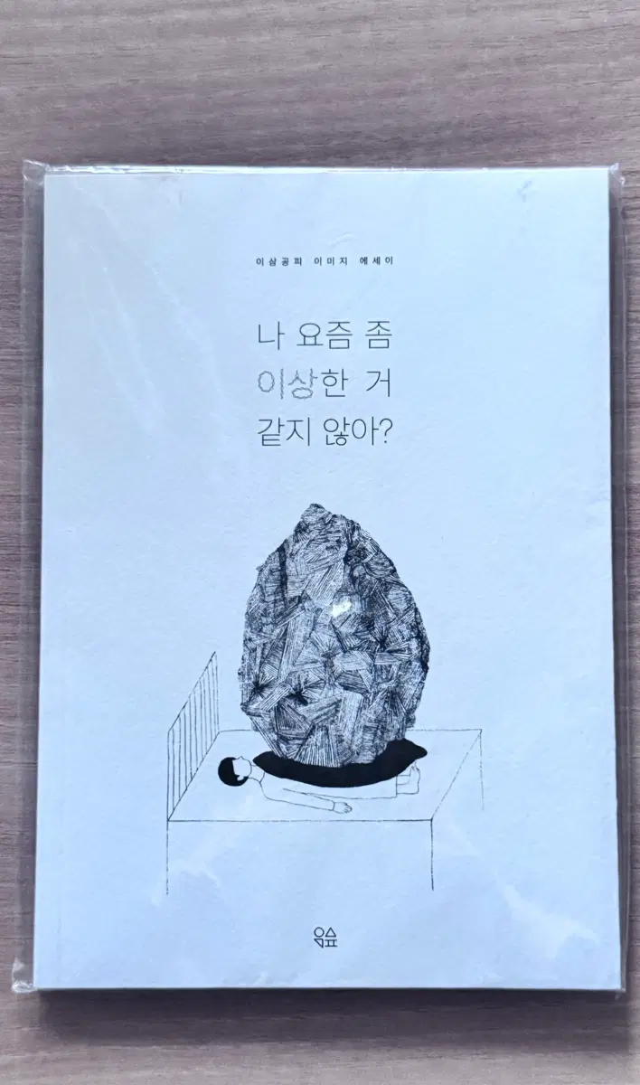 독립출판_절판본_새책]  요즘 좀 이상한 거 같지 않아?