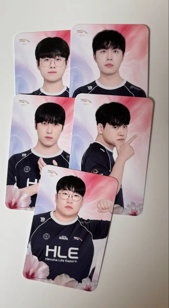 (세트) HLE 한화생명 광복절 포토카드