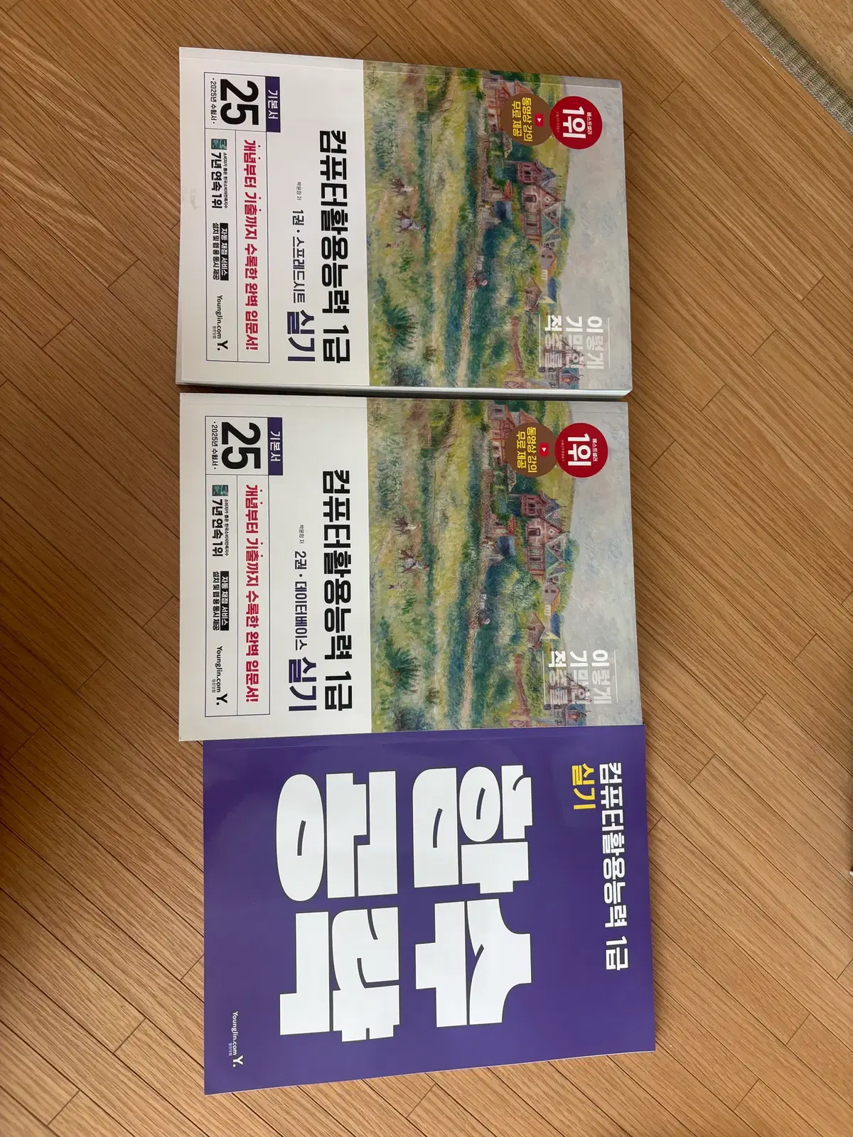 2025 이기적 컴퓨터 활용능력 1급 실기 기본서 + 함수공략집 세트 전 3권