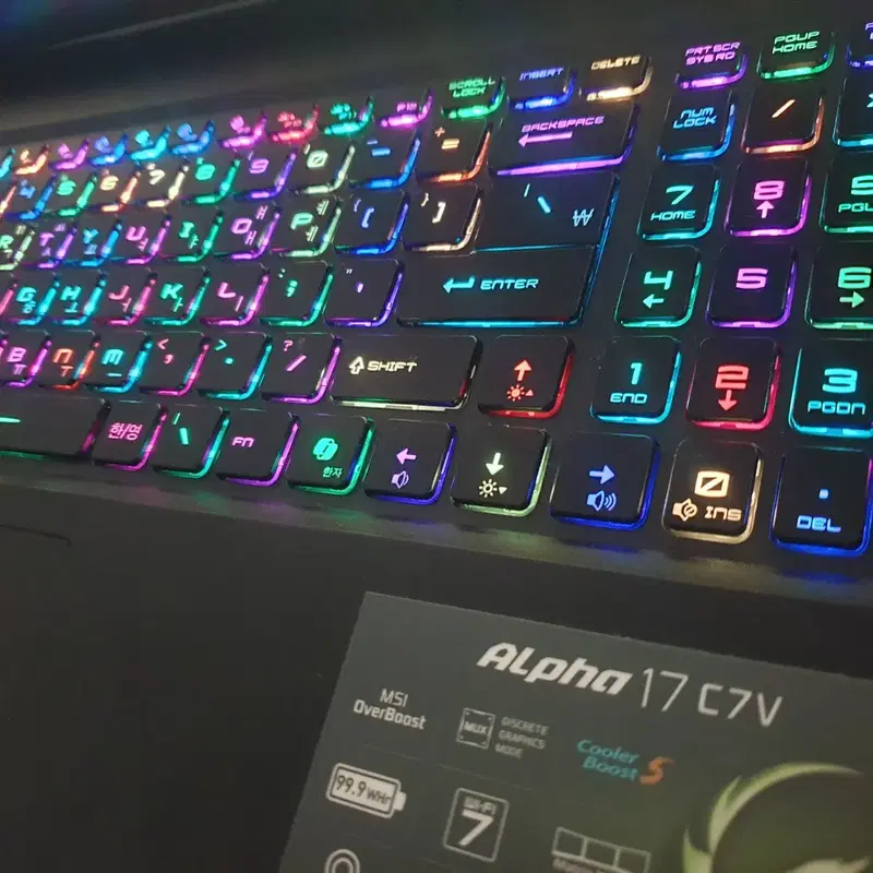 MSI게이밍 노트북 17.3인치 알파 라이젠9 지포스 RTX4070