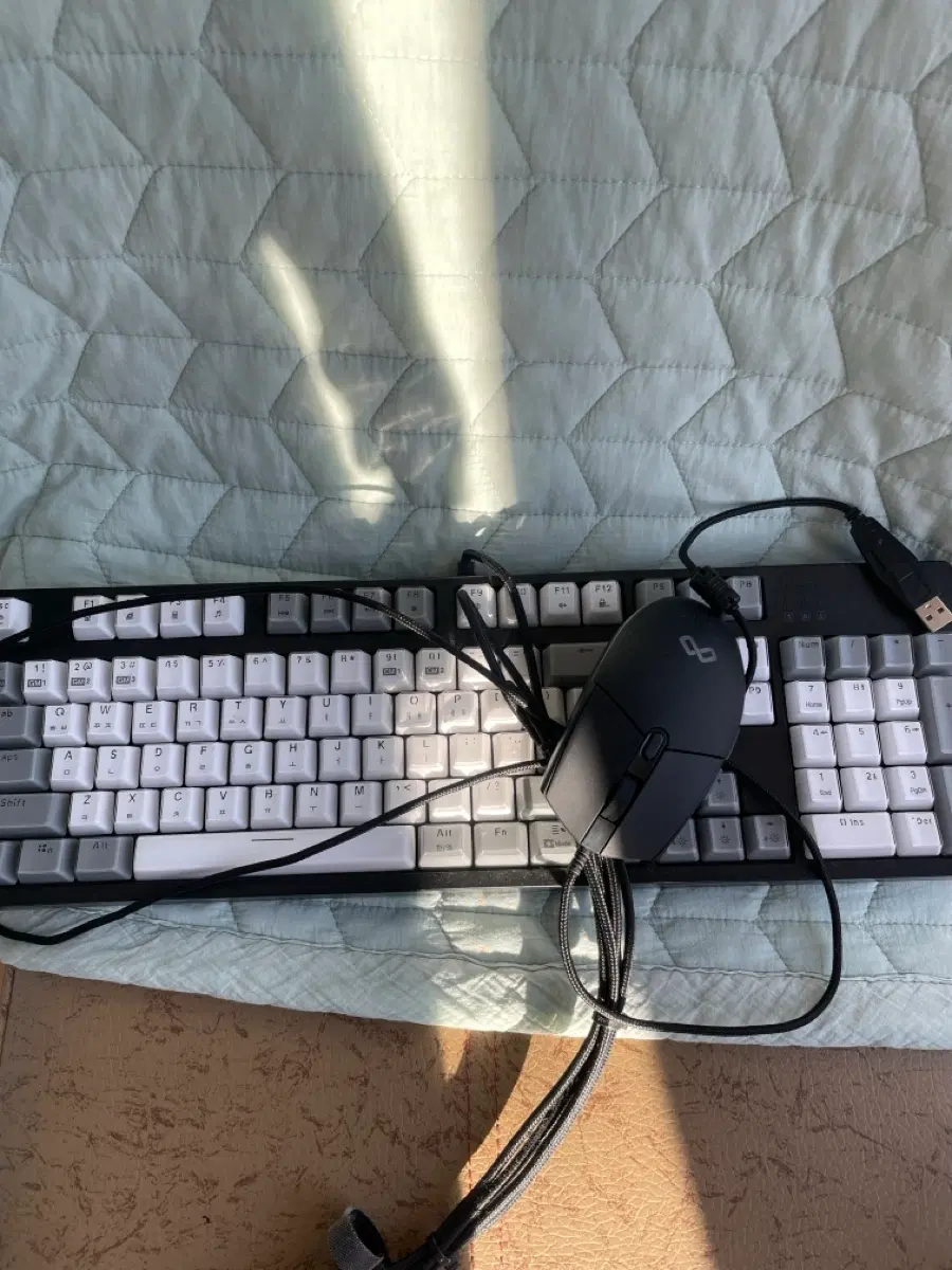 hacker k8900 v2 (사면 다이소 마우스)