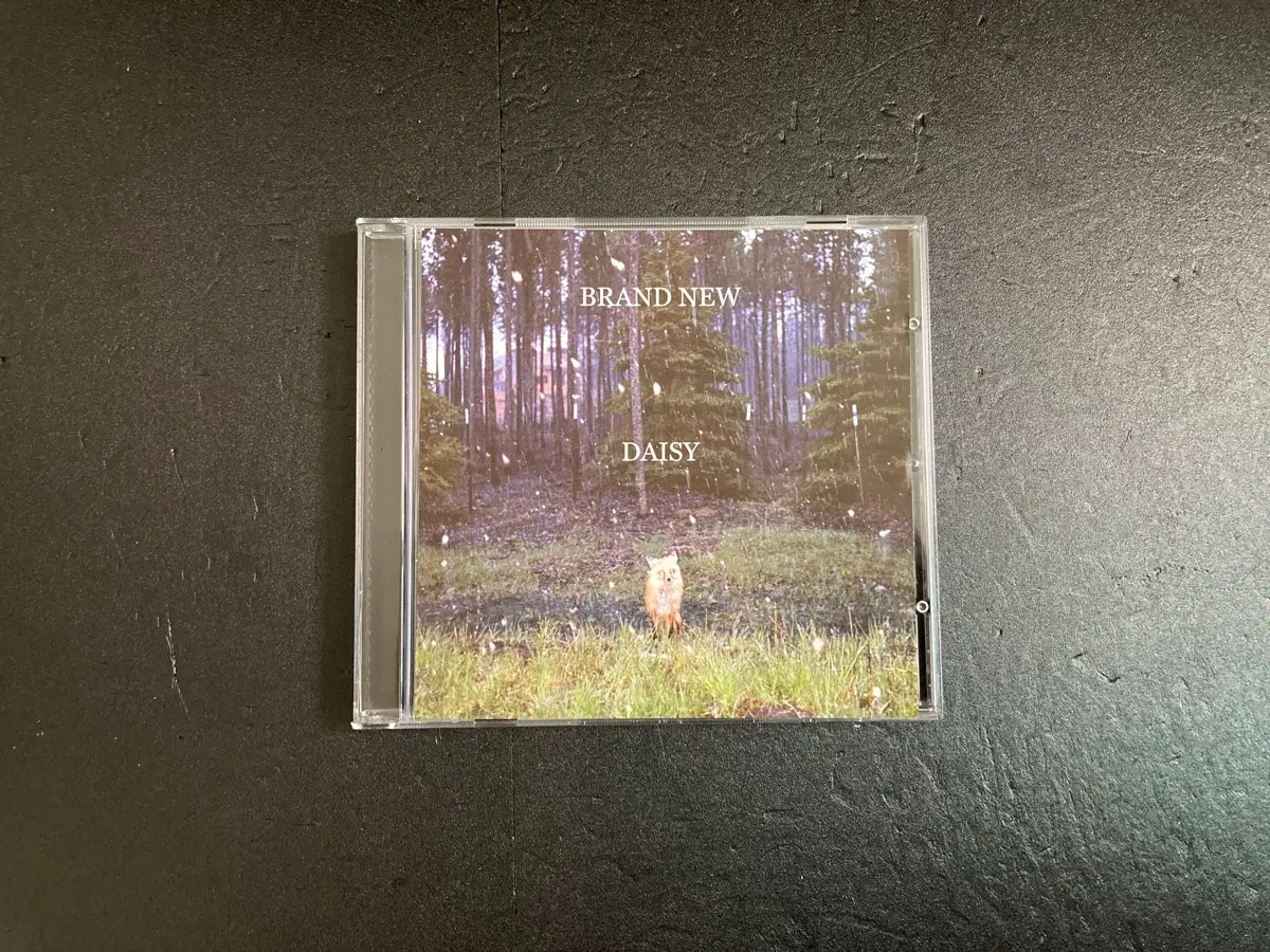 브랜드뉴 Brand New-Daisy '09 유럽발매 CD
