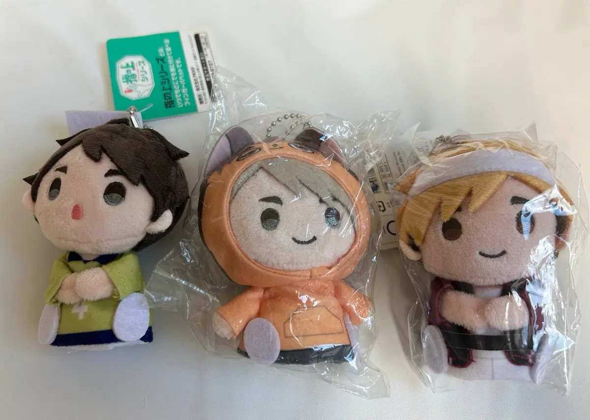 하이큐 아츠무 오사무 누이