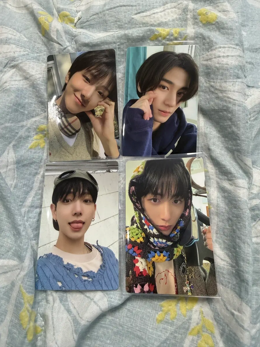 보넥도 포카