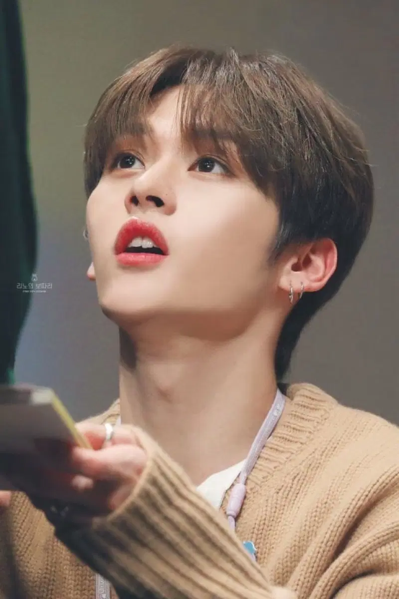 스트레이키즈 스키즈 리노 굿즈 포카 정리