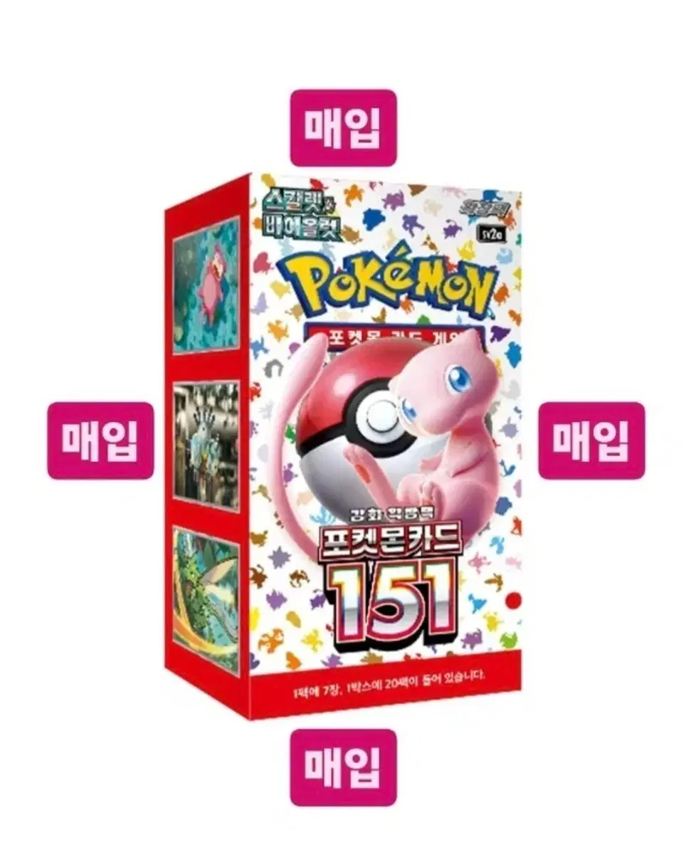 151 매입