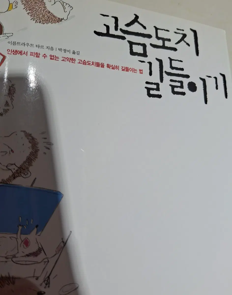 고슴도치 길들이기