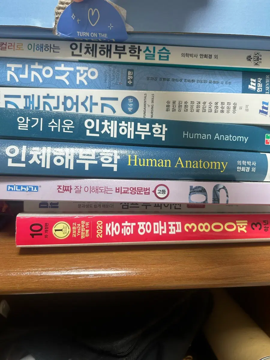 간호학과 전공책