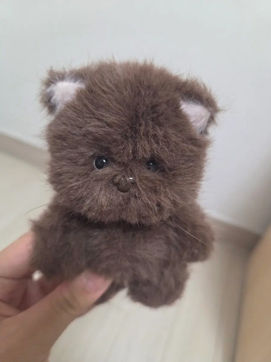 테디테일즈 레나캣