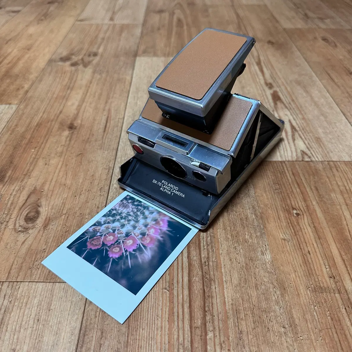 폴라로이드 필름 카메라 Polaroid SX-70 알파1 600필름용
