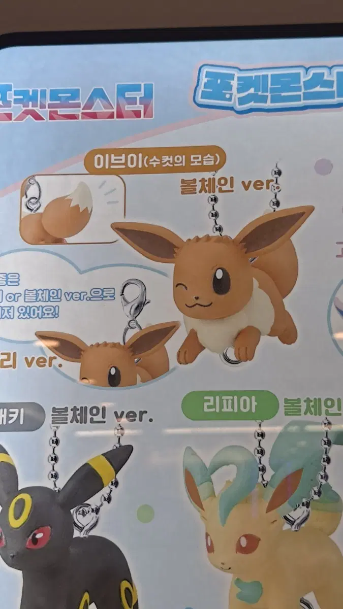 포켓몬스터 주렁주렁 이브이 마스코트 캡슐 미개봉