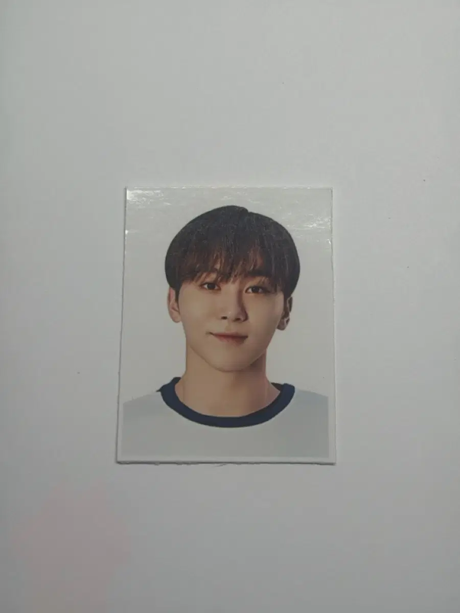 세븐틴 승관 증사