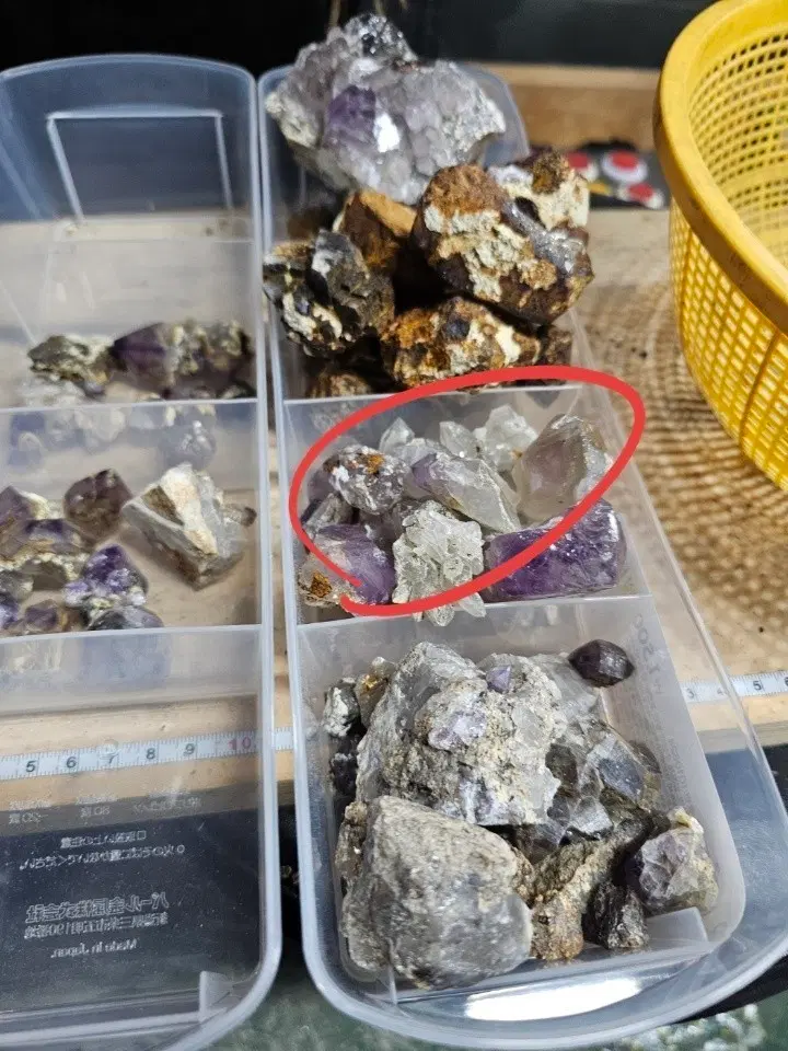 경주 천연 동곡 자수정 클러스터외 수정 표본