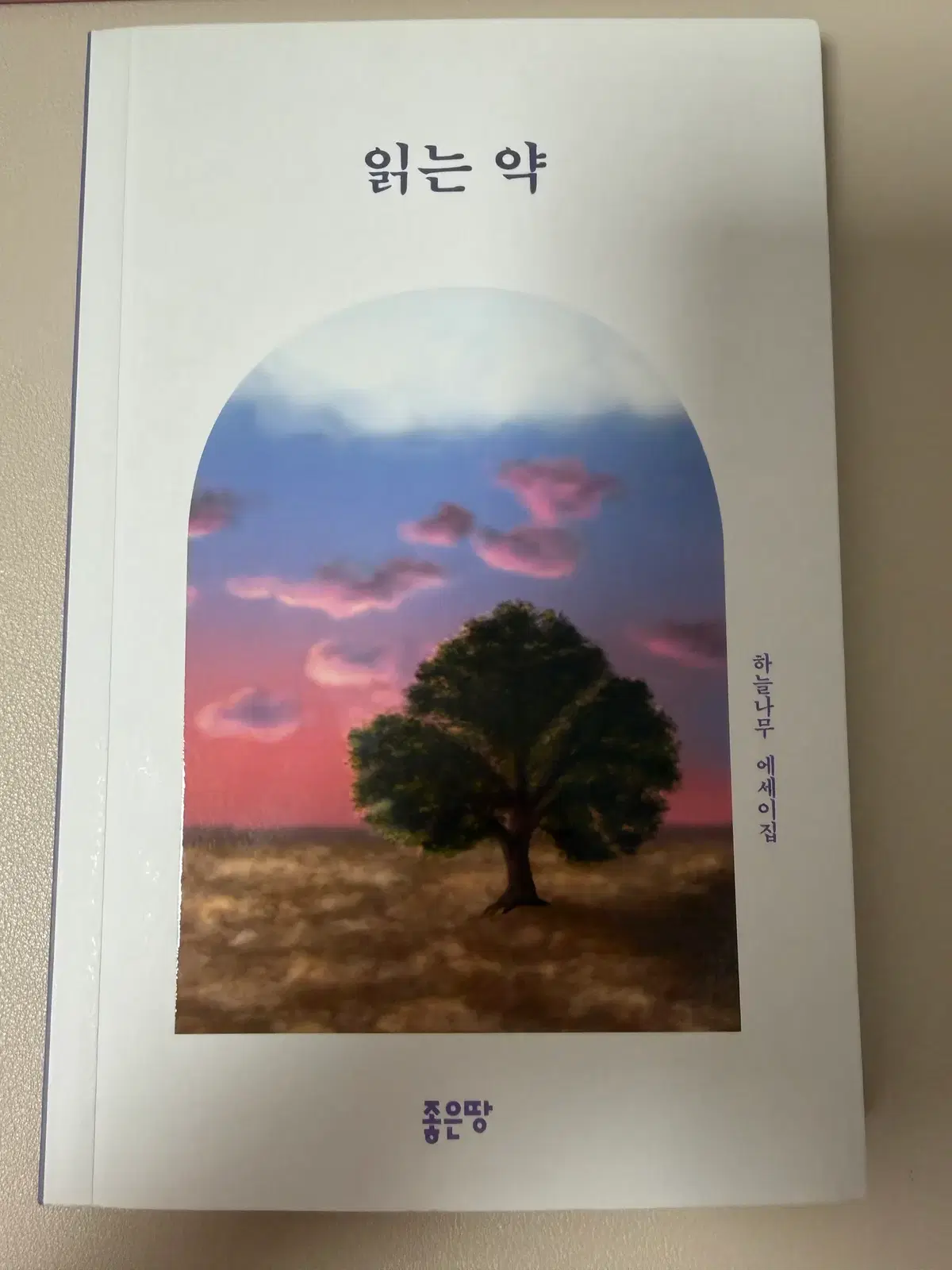 <새상품> 읽는 약 - 하늘나무 에세이집 (반택비포함)