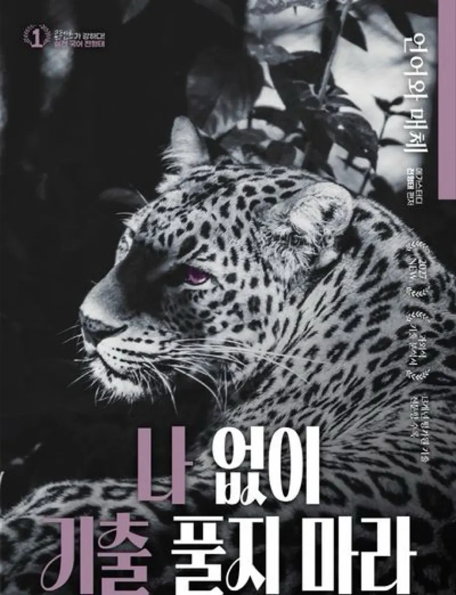 언매 2027 전형태 나기출, 마더텅