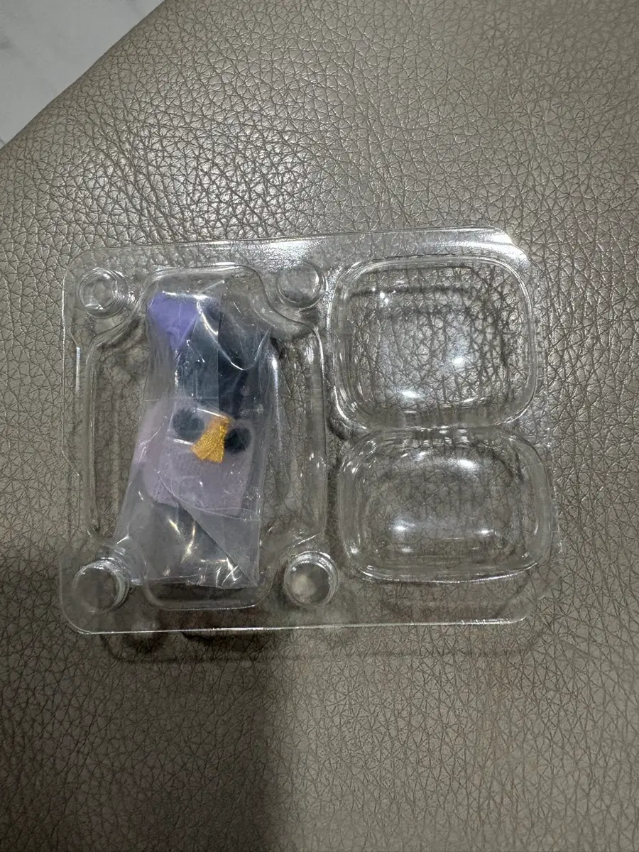 실바니안 미드나잇캣