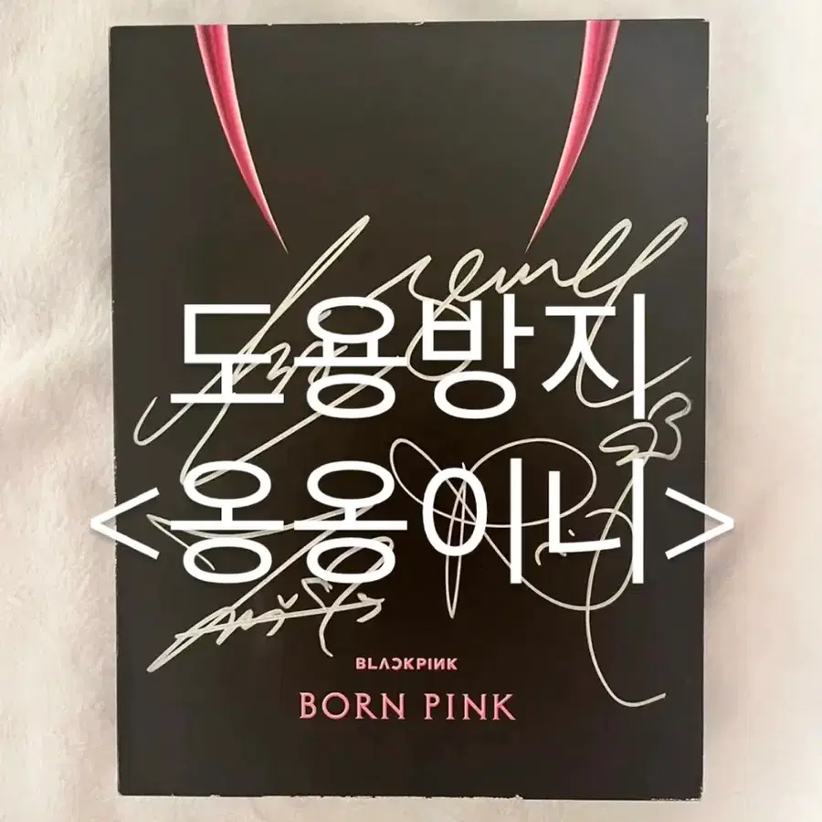 블랙핑크 친필싸인 본 핑크 앨범