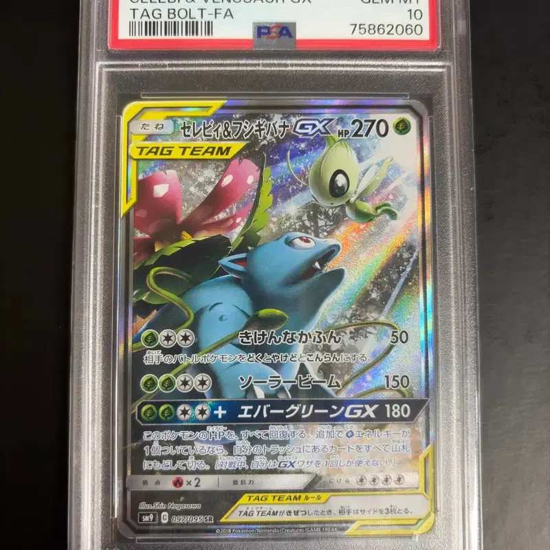 포켓몬카드 세레비&이상해꽃 GX 태그볼트 PSA 10