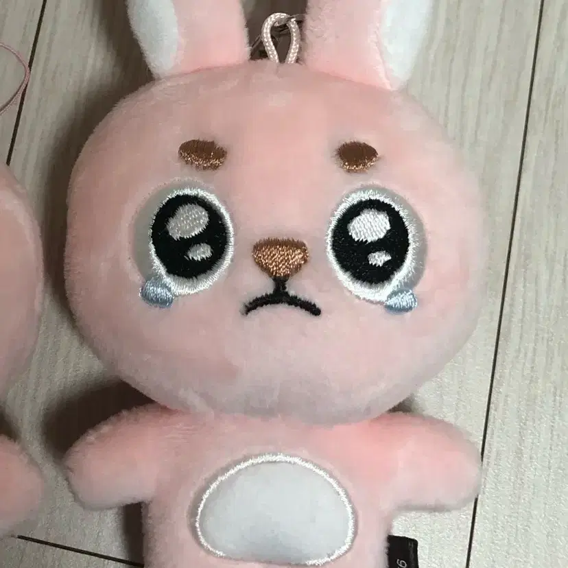 데이식스 원필 뿌앵필