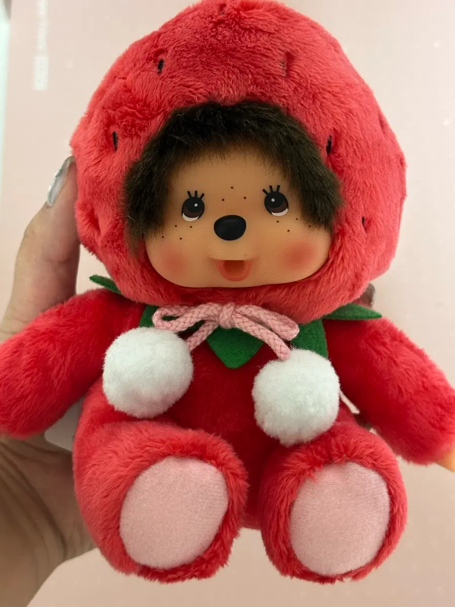 후쿠오카 딸기 몬치치