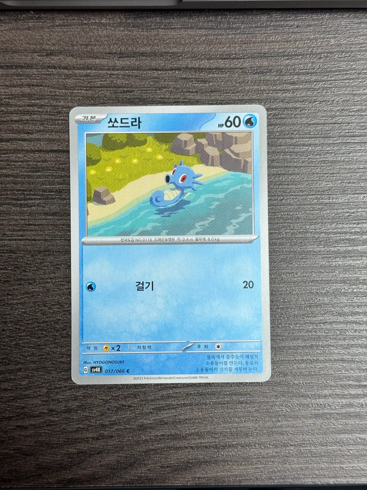포켓몬카드 효고노스케 쏘드라 판매 7-M