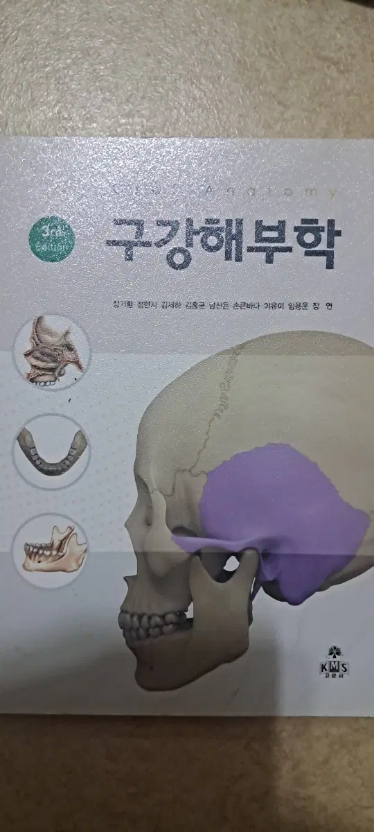 구강해부학 3판