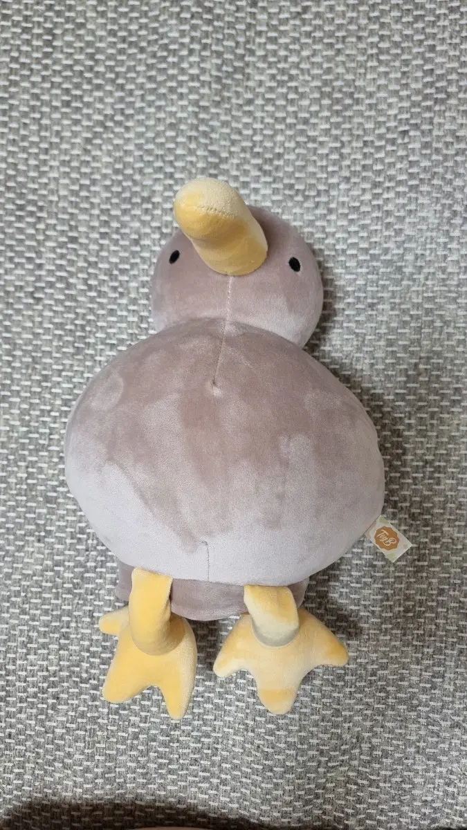 키위새 인형 33cm