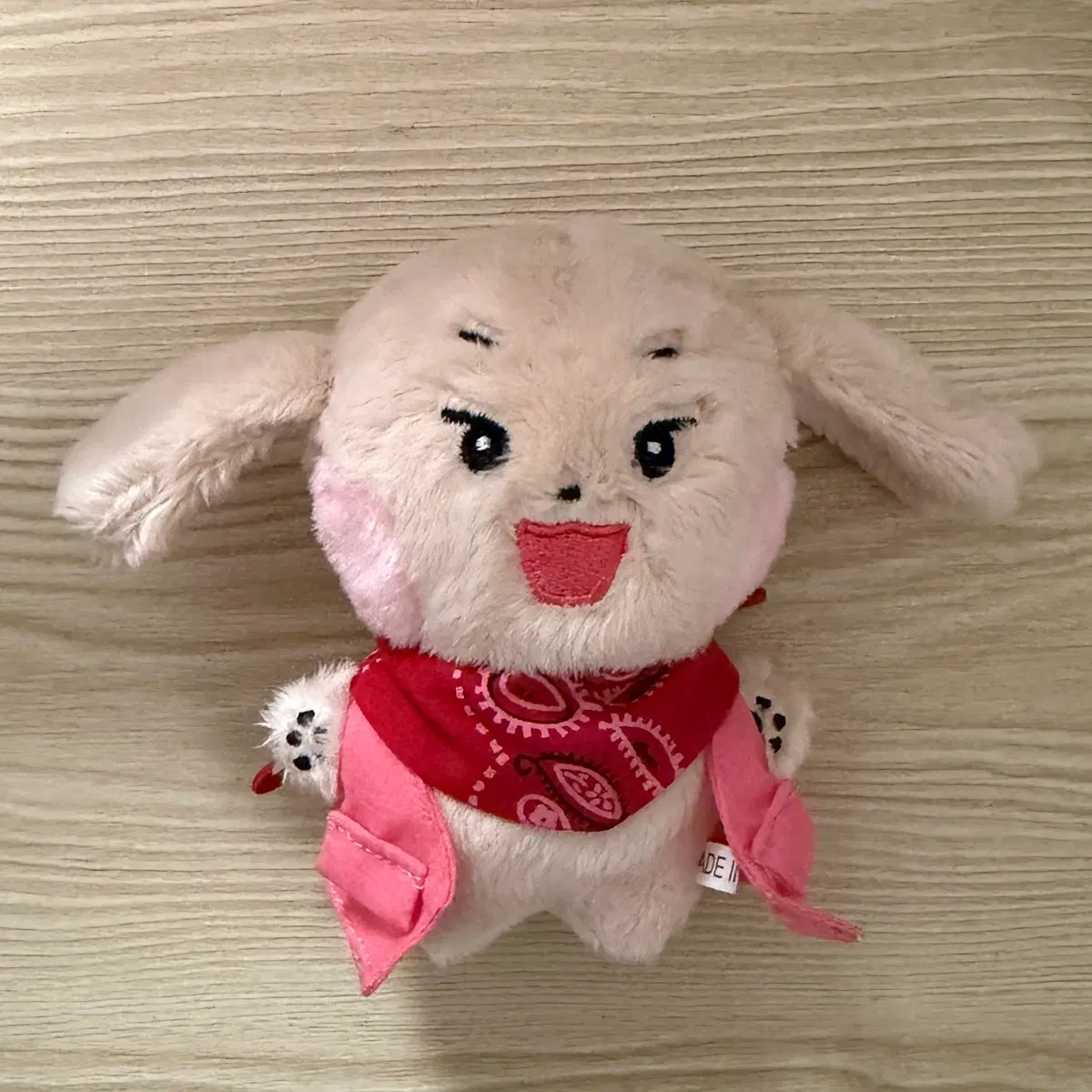 세븐틴 디노 인형 2개
