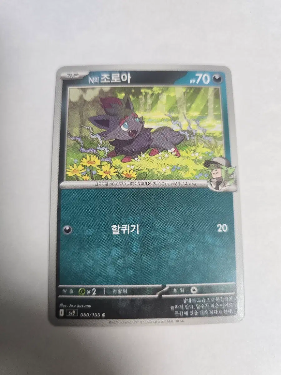 N의 조로아 060/100 C SV9