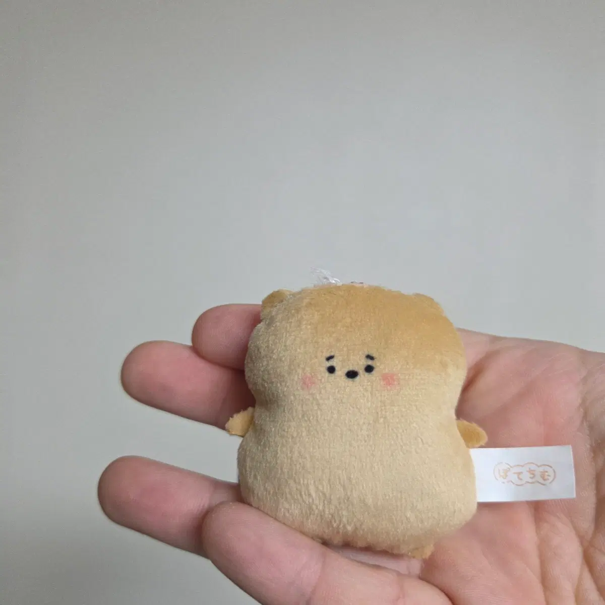 츠부라나 히토미노 도부츠엔 눈알 인형 키링 스트랩 열쇠고리 곰돌이