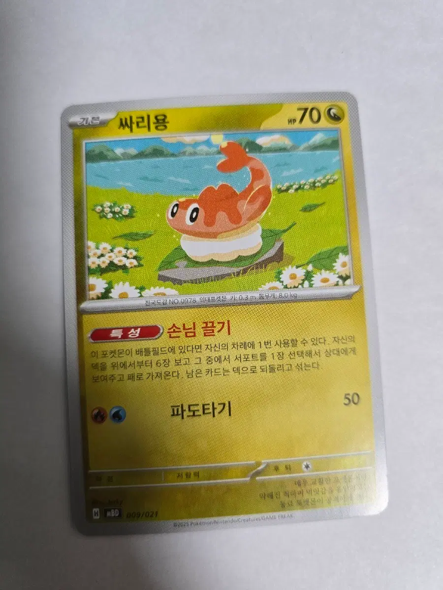 싸리용 009/021 MBD